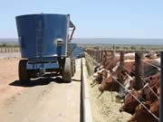 Feeding Troughs